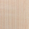 Hard Maple