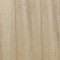 Poplar